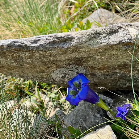 Messner Tatil Evi Hohentauern