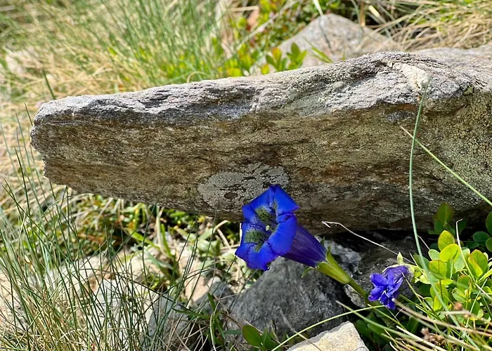 Messner Dom wakacyjny Hohentauern
